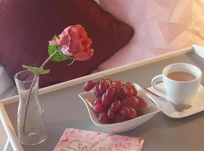 Aparthotel Paleo Finest Serviced 4*